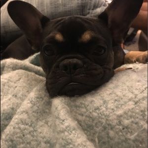 Meet your Posher, Beth